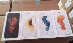 14319-9782-150918-Fish-l.jpg &nbsp;