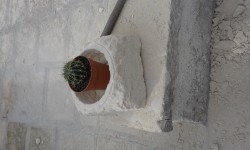 20151113_115034.jpg