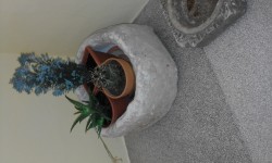 20151113_115451.jpg