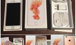 12249982_10204478894604179_3238356269094445056_n.jpg &nbsp;