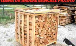 LEGNA DA ARDERE BANCALE PICCOLO VENDITA FAGGIO FRASSINO TORINO PIEMONTE ITALIA.jpg &nbsp;