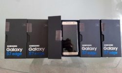 14329897_357796161277475_6062829528935721645_n.jpg &nbsp;