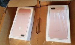 580f69b65b6d5b0d8ff4c303a.jpg &nbsp;