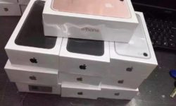 14446119_1696649023990280_3772405930999565975_n.jpg &nbsp;