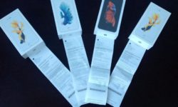 19030223_238569213306040_4739255505398681943_n.jpg &nbsp;