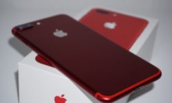 Apple 4-500x500.jpg
